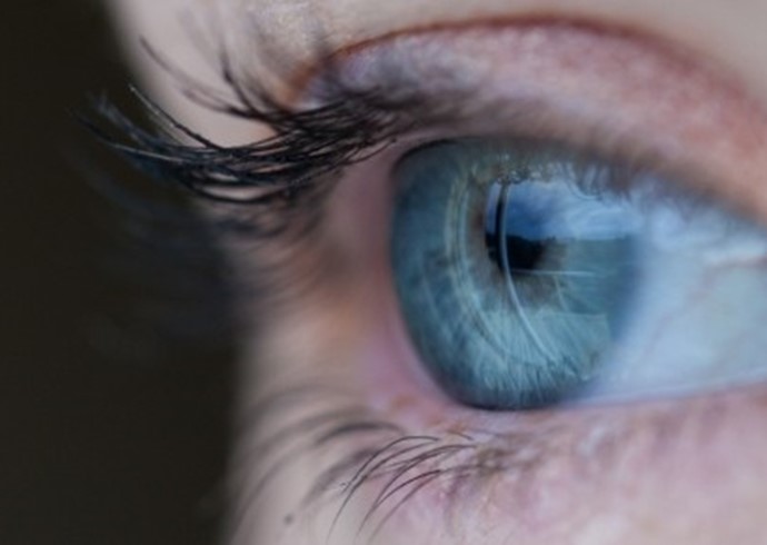 Eye Floaters and Flashes